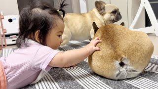 Our Baby Wakes Up My Dog In The Sweetest Way WAIT FOR IT [upl. by Nara]