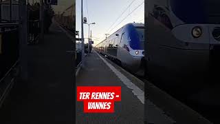 Arrivée dun ter Rennes  Vannes [upl. by Nnovahs]