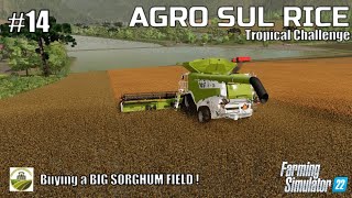 Buying a BIG SORGHUM FIELD  14 AGRO SUL RICE  Brazil  FS22  PlayStation 5 [upl. by Oirelav]