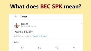 BEC SPK  meaning of the slang phrase [upl. by Brew]