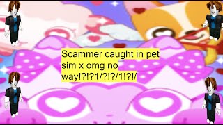 Real proof of Pet Simulator X partner scamming mechanism [upl. by Gschu]