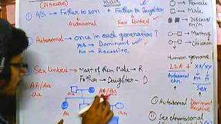 6 Pedigree analysis  autosomal recessive [upl. by Attesor]