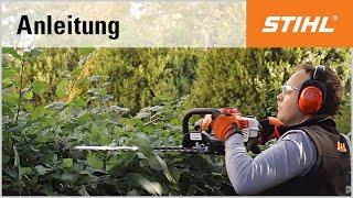 SchnittTechnik BenzinHeckenschere Rückschnitt mit der STIHL HS 81 R [upl. by Ellennahs]