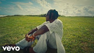 Stonebwoy  Into The Future Official Music Video [upl. by Terrena]