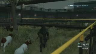 ANIMAL CASSETTE tape Horse neigh METAL GEAR SOLID V THE PHANTOM PAIN MGSV [upl. by Watkin]