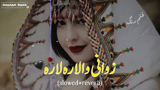 Zwani wa lara lara slowedreverb Pashto song by ghanam rang slowedandreverb pashtosong [upl. by Zicarelli]