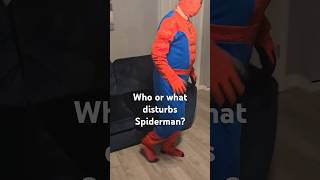 Who is at Spidermans door [upl. by Hurwit712]