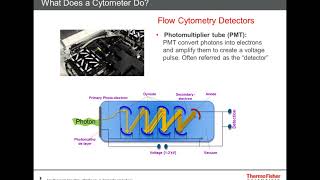 Experimental Design Best Practice for Multicolor Flow Cytometry [upl. by Yenohtna81]