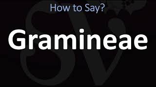 How to Pronounce Gramineae CORRECTLY [upl. by Cirre]