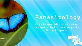 cryptosporidiumamp Isosporaampcyclosporaamp sarcocystis  Para L9 [upl. by Odrarej413]