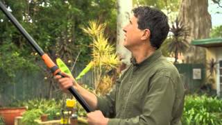 The Garden Gurus  Fiskars Tree Pruner [upl. by Eihtak]