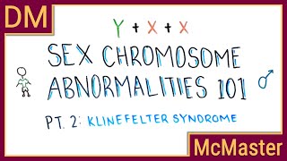 Klinefelter Syndrome 101 [upl. by Ellehcyt]