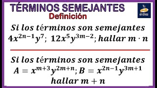 TERMINOS SEMEJANTES 01 Definición y Ejemplos [upl. by Rutledge]