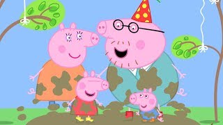 Peppa Pig po Polsku najlepsze odcinki  Urodziny tatusia Swinki  Świnka Peppa [upl. by Giustina284]