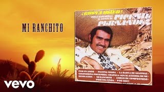 Vicente Fernández  Mi Ranchito Cover Audio [upl. by Nnayelhsa]