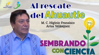 Ep 28 Al rescate del Ahuautle  M C Higinio Francisco Arias Velázquez [upl. by Nitsreik]