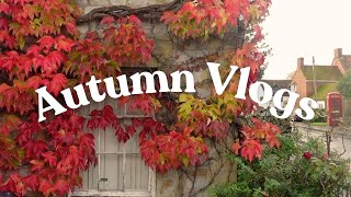 Autumn granola and entering my DIY era  Autumn Vlogs Ep3 [upl. by Aenehs121]