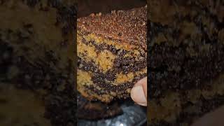 Zebra cake assembling easyghar ka tea time Cake [upl. by Ila]