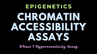 DNase I hypersensitivity assay  Chromatin remodeling assays  Epigenetics  GATECSIRNET [upl. by Aleras]