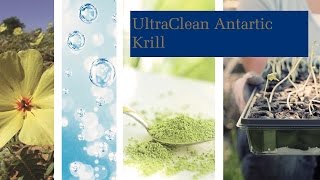 UltraClean Antarctic Krill [upl. by Ttirrej]