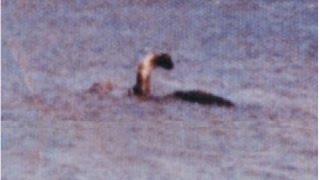 Debunking Cryptozoology 1 The Lake Champlain Monster Champ [upl. by Sadoff]