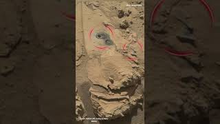 Mars Curiosity Rover Sol 729 video 2 shorts jpl space perseverance curiosityrover mars nasa [upl. by Ecniuq256]