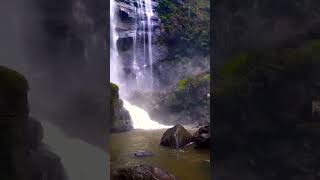 Bomburu Ella Waterfall 🇱🇰🍃 travelsl nature [upl. by Ynnig]