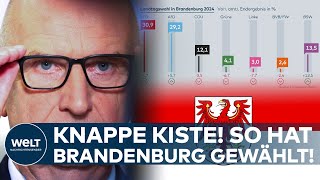 BRANDENBURG ERGEBNIS LANDTAGSWAHL  SPD gewinnt knapp vor AfD  BSW vor CDU  FDP kaum messbar [upl. by Neelhtac]