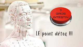 11 GI le point détox [upl. by Alegnaoj571]