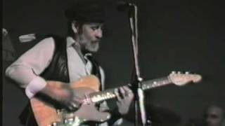 Roy Buchanan  Honky Tonk [upl. by Bracci563]