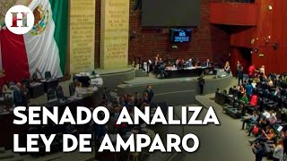 ¿Qué cambiaría la reforma a la ley de amparo Senado inicia su discusión [upl. by Artekal]