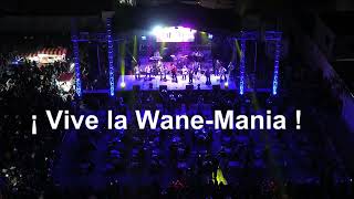 Banda Wane Wane for Ever  2024  Gracias Miiiiiilllllll [upl. by Enidan]