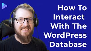 How To Interact With The WordPress Database  WPDB Development Tutorial [upl. by Annibo]