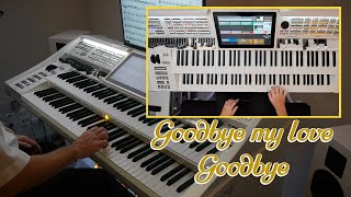 Goodbye my love Goodbye auf der Wersi Sonic OAX 800 [upl. by Uwton]