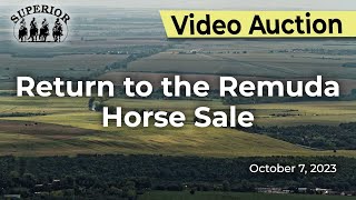 Return to the Remuda Horse Sale [upl. by Abdel]