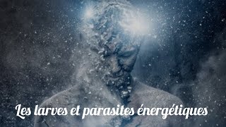 Les larves et parasites énergétiques comment les repérer comment sen prévenir [upl. by Nalla]