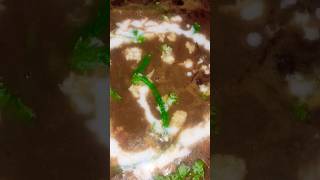 Dhaba style dal makhani recipeyoutubeshorts [upl. by Oetsira]