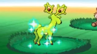 Shiny Stantler after  REs  LIVE REACTION  Pokémon Blaze Black 2 Redux vtuber [upl. by Anairad]