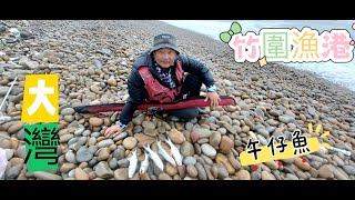 【可愛老爹花爸】午仔魚來了 戰竹圍漁港💪 釣魚海釣沙灘釣午仔魚八里竹圍漁港沙釣遠投可愛老爹花爸桃園台灣taiwan [upl. by Nerot]