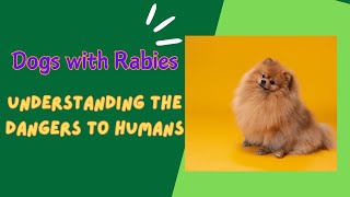 Dogs with Rabies  Understanding the Dangers to Humans [upl. by Nnaeoj]