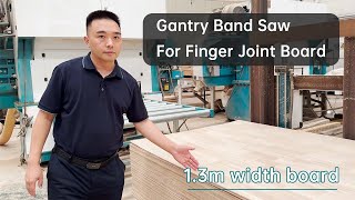 Mastering 13m Width Finger Joint Boards in RECORD Time with Gantry Band Saw [upl. by Earlie958]