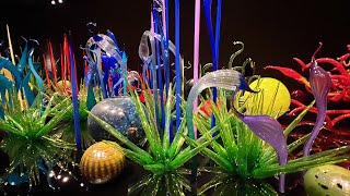 Mille Fiori in Chihuly Garden and Glass chihuly garden and glass MILLE FIORI dale chihuly [upl. by Naanac]