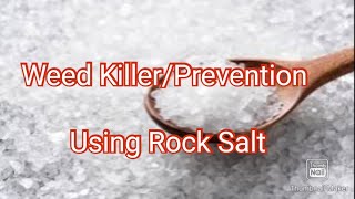 Natural Weed Prevention\Killer Rock Salt [upl. by Elohcin]