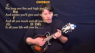 Breathe Pink Floyd Mandolin Cover Lesson with ChordsLyrics [upl. by Raffaello401]