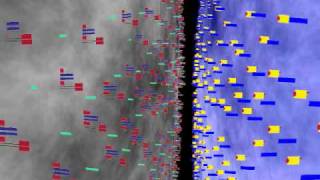 CD8 Tcell macrophage interaction with labels [upl. by Richer558]