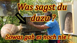 Korbimkern Easy Bee Box was ist da Los Teil 2 Imkern wie der Jupp [upl. by Niwred68]