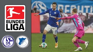 FC Schalke 04 vs TSG 1899 Hoffenheim ᴴᴰ 09012021 15Spieltag  1 Bundesliga  FIFA 21 [upl. by Calondra]