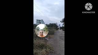 Apartment purpose hmda plot for sale nearer to Hyderabad airport hyderabad manikonda jubleehills [upl. by Ennybor]