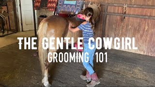 Grooming 101 with Pumpkin [upl. by Atiroc]