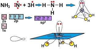 Chemistry  Molecular Structure 39 of 45 Hybridization with Free Electron Pair  Ammonia  NH3 [upl. by Eselahc]